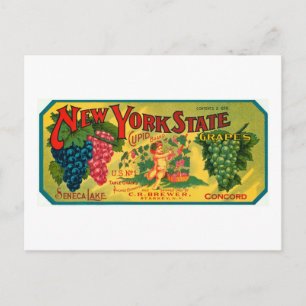 New Yorker Staatstrauben Ad Vintage-Etikett Postkarte