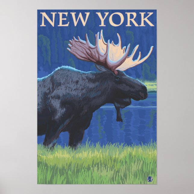 New YorkMoose im Mondlicht Poster (Vorne)