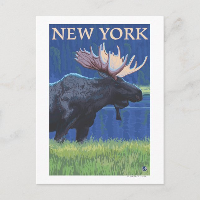 New YorkMoose im Mondlicht Postkarte (Vorderseite)