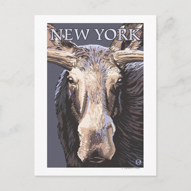 New YorkMoose Up Nah Postkarte (Vorderseite)