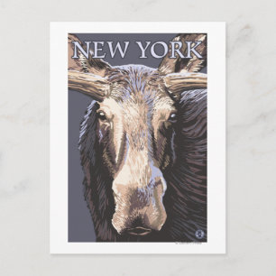 New YorkMoose Up Nah Postkarte