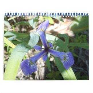 New Yorks schönste Landschaften Kalender