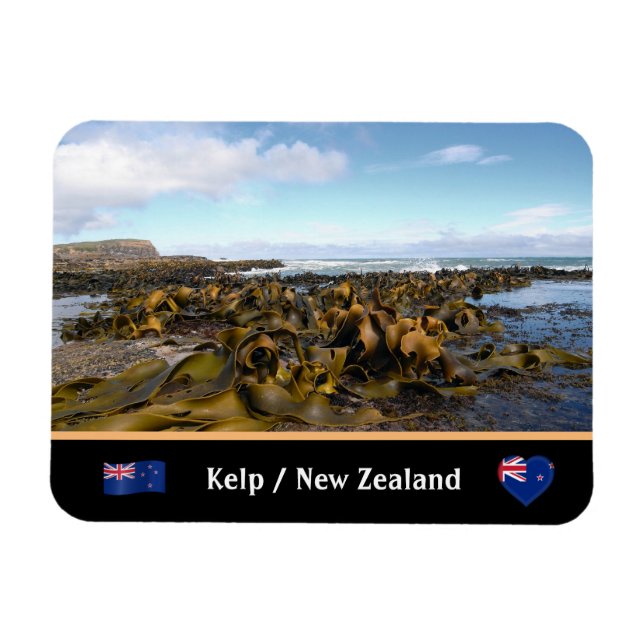 New Zealand, Kelp Coast - Curio Bay /The Catlins Magnet (Horizontal)