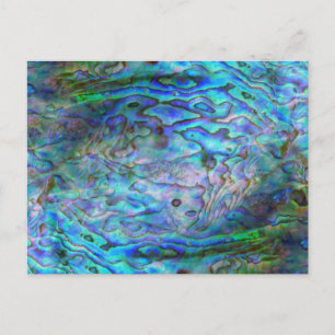 NEW ZEALAND KIWI PAUA POSTKARTE