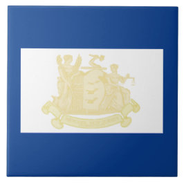 Newark (New Jersey) City Flag Fliese