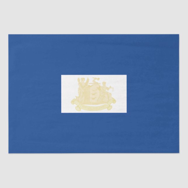 Newark (New Jersey) City Flag Seidenpapier (Vorderseite)