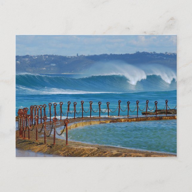 Newcastle Beach vom Canoe Pool Postkarte (Vorderseite)