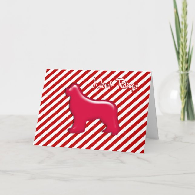 Newf-Tidings Red Kandi Kane Karte (Vorderseite)