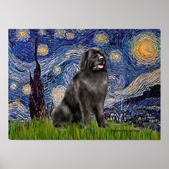 Newfie 2 - Starry Night Poster (Vorne)