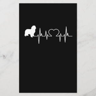 Newfie Heartbeat Newfundland Niedlich Newfie