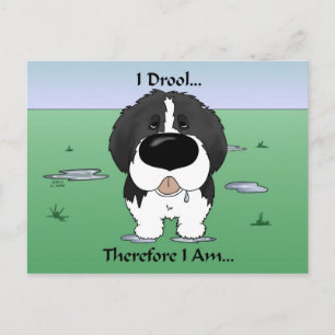 Newfie (Landseer) - I Drool Postkarte