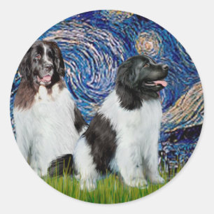 Newfie Landseer Paar - Sternennacht Runder Aufkleber