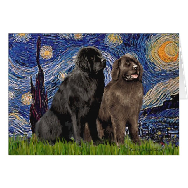 Newfie Pair - Starry Night (Vorderseite (Horizontal))