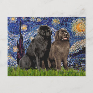 Newfie Pair - Starry Night Postkarte