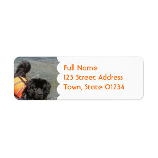 Newfie Water Rescue Mailing Label