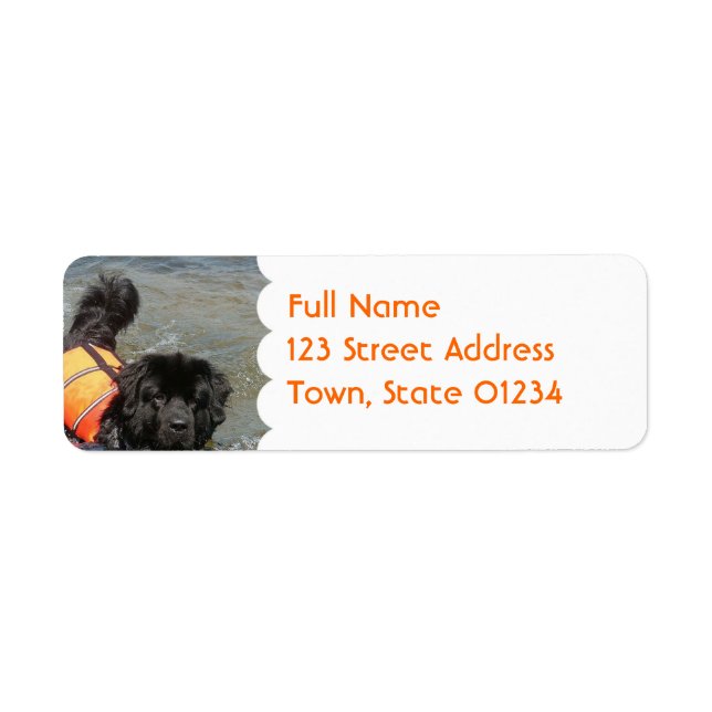 Newfie Water Rescue Mailing Label (Vorne)
