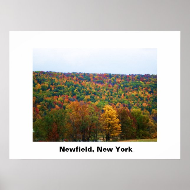 NEWFIELD NEW YORK-Plakat Poster (Vorne)