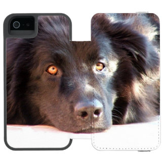 newfoundland-3 incipio watson™ iPhone 5 geldbörsen hülle