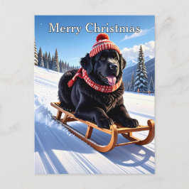 Newfoundland Dog Christmas Postkarte