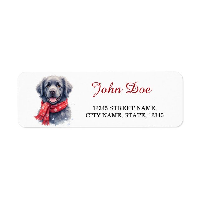 Newfoundland Dog Christmas Scarf Return Address (Vorne)