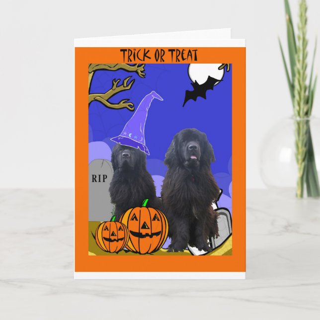 Newfoundland Dogs Halloween Karte (Vorderseite)