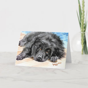 Newfoundland "Patience" Karte