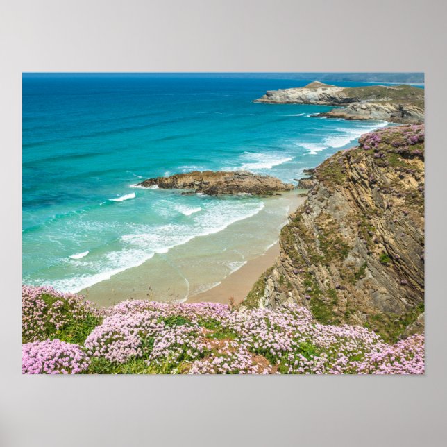Newquay Strand in North Cornwall wilde Blume Klipp Poster (Vorne)
