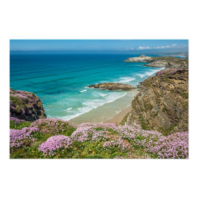 Newquay Strand in North Cornwall wilde Blume Klipp Poster (Vorderseite)
