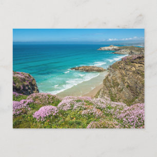 Newquay Strand in North Cornwall wilde Blume Klipp Postkarte