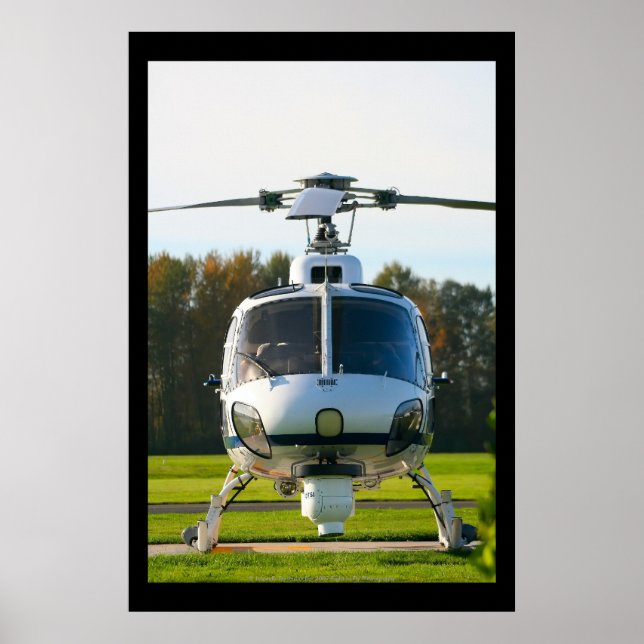 News Helicopter II Poster (Vorne)