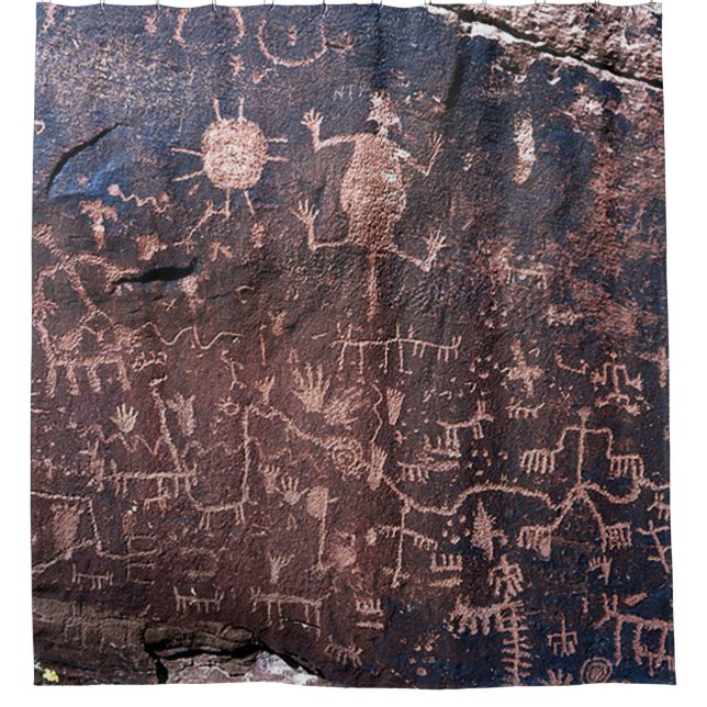 News Paper Rock versteinerten Forest National Park Duschvorhang (Vorderseite)