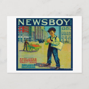 Newsboy Orange LabelRedlands, CA Postkarte