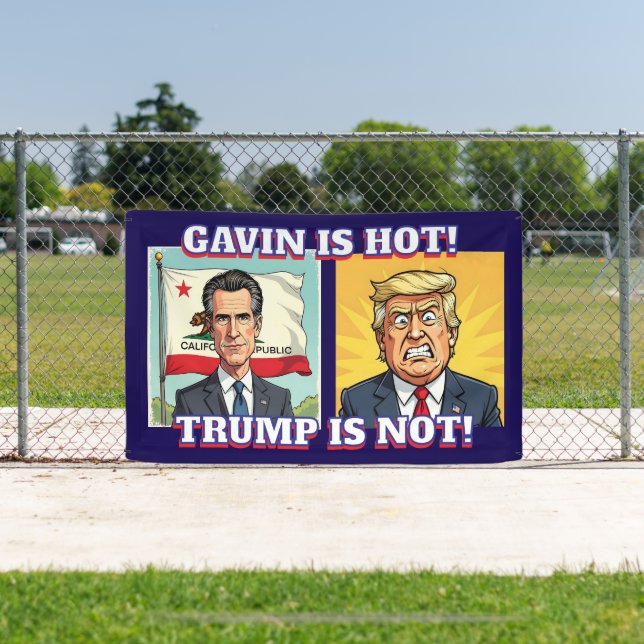 Newsom ist heiß, Trump ist nicht | Funny Political Banner (InSitu)