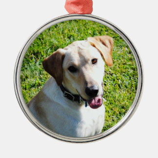 Newt der Labrador Silbernes Ornament