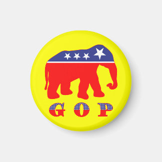 Newt Gingrich 2012 Magnet