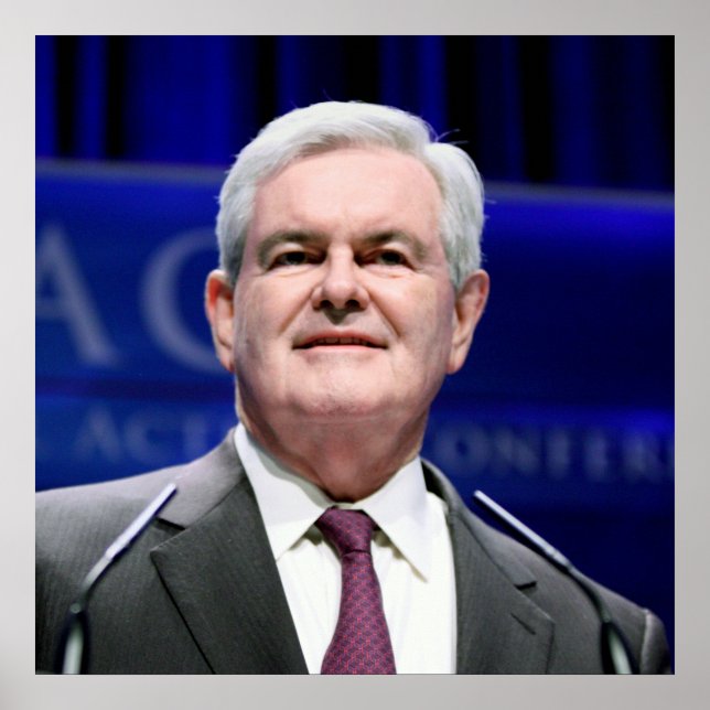 Newt Gingrich Poster (Vorne)