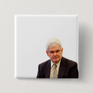 Newt Gingrich - Schreiben Sie Ihren eigenen Text Button