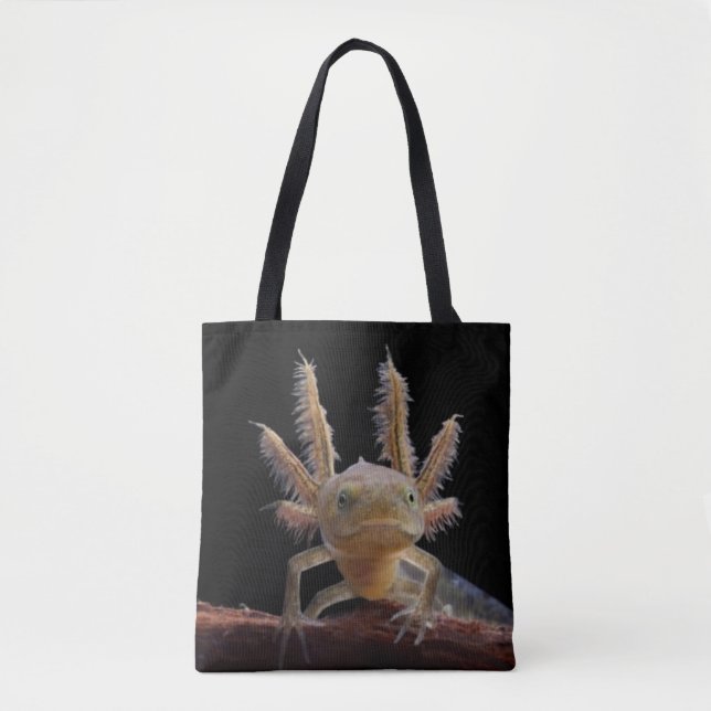 Newt larve mit Haube (Vorderseite)