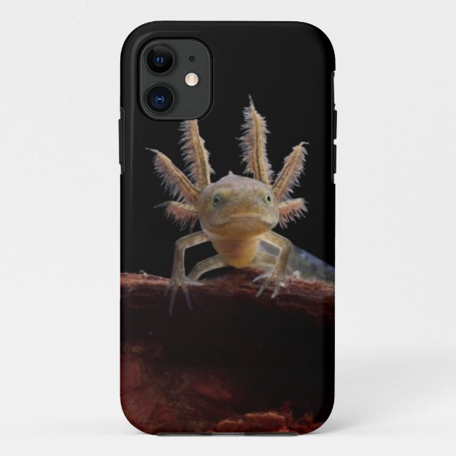 Newt larve mit Haube Case-Mate iPhone Hülle (Rückseite)