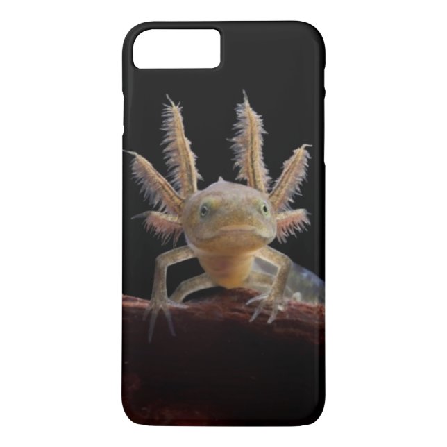 Newt larve mit Haube Case-Mate iPhone Hülle (Rückseite)