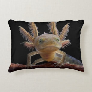 Newt larve mit Haube Dekokissen