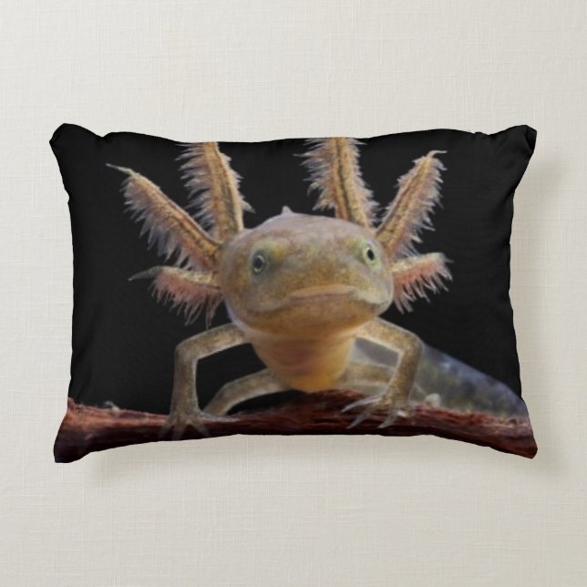 Newt larve mit Haube Dekokissen (Vorderseite)