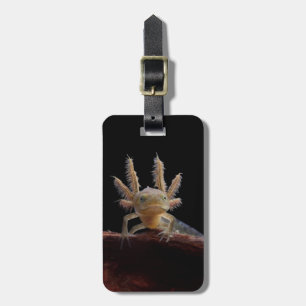 Newt larve mit Haube Gepäckanhänger