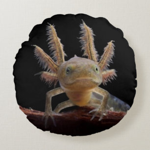 Newt larve mit Haube Rundes Kissen
