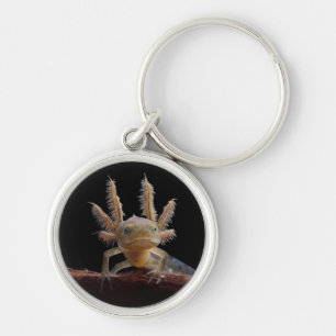 Newt larve mit Haube Schlüsselanhänger
