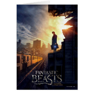 NEWT SCAMANDER™ in zerstörtem Gebäude