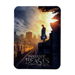 NEWT SCAMANDER™ in zerstörtem Gebäude Magnet