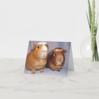 Newton und Skeeter Notecard Karte