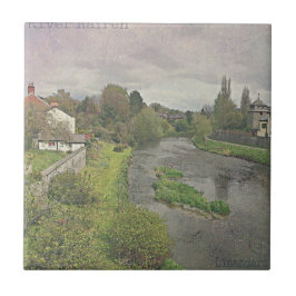 Newtown, Powys Fliese