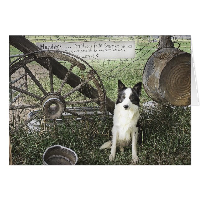 newtpraticefielddragonizer4x6 (Vorderseite (Horizontal))